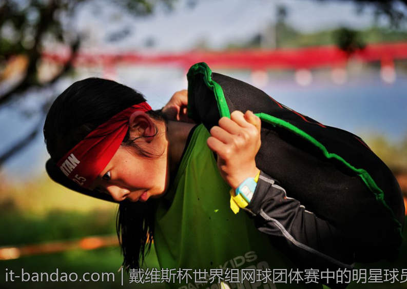 戴维斯杯世界组网球团体赛中的明星球员与精彩表现